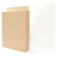 ネクスタ 開封テープ付き宅配袋 茶 大（320×430×100mm） 1セット（100枚：10枚入×10パック）