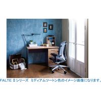 オカムラ FALTE II チェストワゴン 幅408×奥行405×高さ670mm ツートーン 8CAG5W　MT95 1台（取寄品）