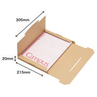 【底面A4】ラクポスBOX 縦215×横305×高さ20mm クラフト 1袋（10枚入）HEIKO