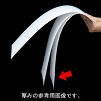 株式会社今村紙工 白画用紙　中厚口　四つ切　1セット(300枚:100枚入×3包) S4ー100