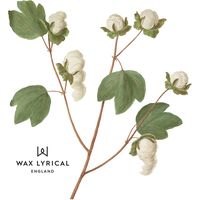 RHSフレグラントガーデン リードデュフューザー　180ml コットン WLRH0505 1個 WAX LYRICAL（直送品）