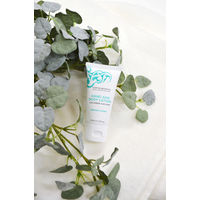 アントレックス EB-C&M ハンド&ボディローション 603100 1個