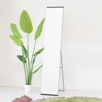 永井興産 スタイルスタンドミラー BK NK-250 1個