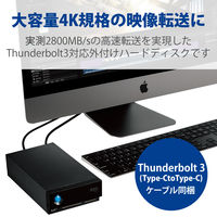 SSD 外付け 2TB 据え置き 5年保証 1big Dock Thunderbolt3 STHW2000800 LaCie 1個（直送品）