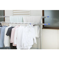 アイリスオーヤマ ステンレス物干し竿 NーSUー260 1個（直送品）