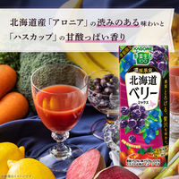 【アウトレット】カゴメ 野菜生活100 濃厚果実 北海道ベリーミックス 195ml 1箱（24本入）