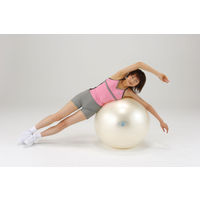 淡野製作所 ギムニクフィットボール D5920 1個（直送品）