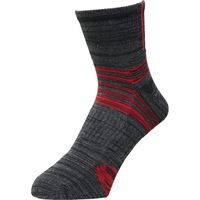 ディックコーポレーション 安全靴用カラーソックス バックライン 先丸 アンクル レッド 2色入 CA-112 1セット（直送品）