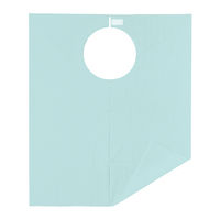 歯科用エプロン　タケトラエコノミーエプロン ブルーL 007055 1箱（200枚入） 竹虎