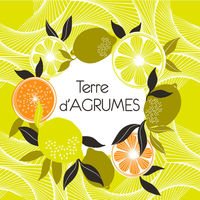 日本香堂 インセンス(お香) テールダグリューム 6個セット 347881 1セット(6個)（直送品）