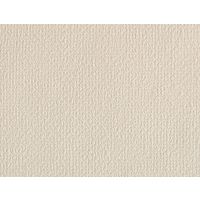 アサヒペン 水だけで貼れるカベ紙92cm×10m SK-21 1枚（直送品）