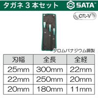 タガネ3本セット 09163 1セット SATA　Tools（直送品）