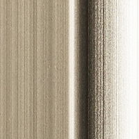 J.フロント建装 リフェクススリム姿見ミラー 30×150cm (厚み2cm)/シャンパンゴールド細枠 RM-3/SG 1枚（直送品）