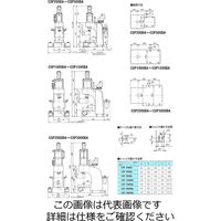 シージーケー エアプレス CSPー3000DA 1台（直送品）