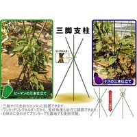 第一ビニール 三脚支柱 Φ7mm×900mm 5805 1個（直送品）