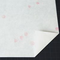 大直 シーズナル さくら B5 15枚入 206030306 1個（直送品）