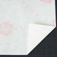 大直 シーズナル うめ A4 15枚入 206040305 1個（直送品）