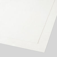 大直 奉書紙 生成 A4 100枚入 207020001 1個