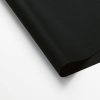 カーシーカシマ セミタイトスカート EAS652-10_11 1着