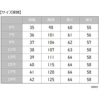 カーシーカシマ 長袖タックブラウス EWB803-11_15 1着