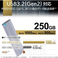 SSD 外付け ポータブル 250GB USB3.2(Gen2) シルバー ESD-EH0250GSV エレコム 1個