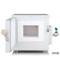 アズワン エコノミー電気炉 ガス置換タイプ プログラム機能無 出荷前バリデーション付 ROP-001G 1台 4-2153-01-28（直送品）