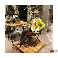 アズワン フレキシブルマネキン 婦人 ブラック 65-9402-30 1個（直送品）