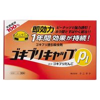 ゴキブリキャップP1 ゴキブリ専用 殺虫剤 1セット（30個入×2箱） タニサケ