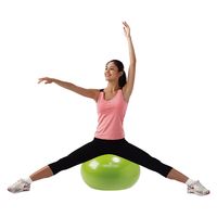 カワセ ヨガボール 65 グリーン IMC-162 1個（直送品）