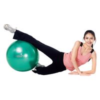 カワセ ヨガボール 55 IMC-58 1個