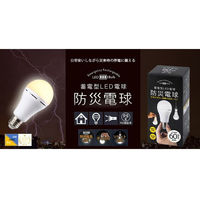 かりはな製作所 蓄電型LED電球 防災電球 電球色 KS-01OR 1個