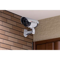 HAC　ＬＥＤ点滅　防犯ダミーカメラHACK3706　1台（直送品）