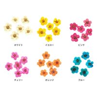 日本紐釦貿易(Nippon Chuko) 日本紐釦貿易 ドライフラワー コデマリ ブルー 約10×10mm 10枚入 KE1301-BL（直送品）