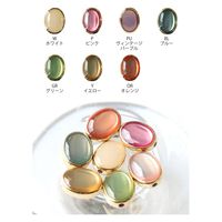 日本紐釦貿易(Nippon Chuko) 日本紐釦貿易 エポビーズ 楕円 ホワイト W10×H13mm 2個入 KE292-W　10袋（直送品）