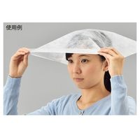 三景 試着用フェースカバー ケース入り(簡易ケース) 100枚 63-5724-05 1ケース(100枚)（直送品）