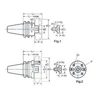 日研工作所 2LOCK正面フライスアーバB型(インチシリーズ) NBT30-FMB25.4-45 1式 62-3669-69（直送品）