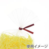 シモジマ OPP袋 ピュアパック S 19-25 006798433 1袋(100枚)