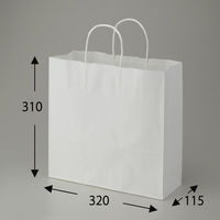 シモジマ 25チャームバッグ 3才 晒白無地 003240101 1袋(50枚)