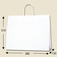 シモジマ 25チャームバッグ 38-3 白無地 003272100 1袋(50枚)