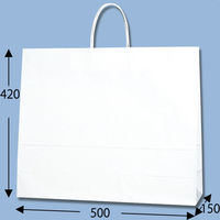 シモジマ 25チャームバッグ 50-2 白無地 003298000 1袋(50枚)