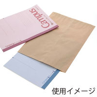 シモジマ 柄小袋 H-8 未晒無地 006530504 1袋(100枚)