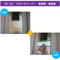 ビアンコジャパン ステンクリーナー 2kg ポリ容器入り SS-101 1個