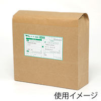 シモジマ 宅配袋 ベロ無し L 未晒無地 004192123 1束(25枚)