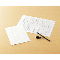コクヨ 作文用紙 B4タテ 14X14 ケ-13N 1パック(10枚)