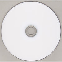 磁気研究所 録画用 プラ入り DVD-R HDDR12JCP10SC 1個(10枚)