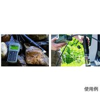 ハンナ インスツルメンツ・ジャパン 投げ込み式ポータブルpH/ORP/EC/DO計 4mケーブル HI 98194 1式（直送品）