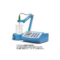 ハンナ インスツルメンツ・ジャパン 全窒素・全リン・COD測定器 HI 83314 1台 67-4597-08（直送品）
