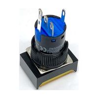 共立電子産業 照光式プッシュスイッチ 長方形 モーメンタリ 黄色 24V 65-9645-01 1個（直送品）