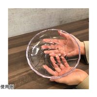 アズワン アクセサリープレート大 直径19.8cm 65-9345-64 1個（直送品）