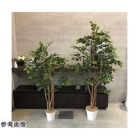 アズワン マウンテンアッシュ(フェイクグリーン 人工樹木)150cm 65-9345-82 1個（直送品）